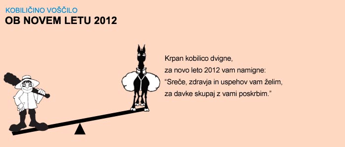 Voščilo za novo leto 2012